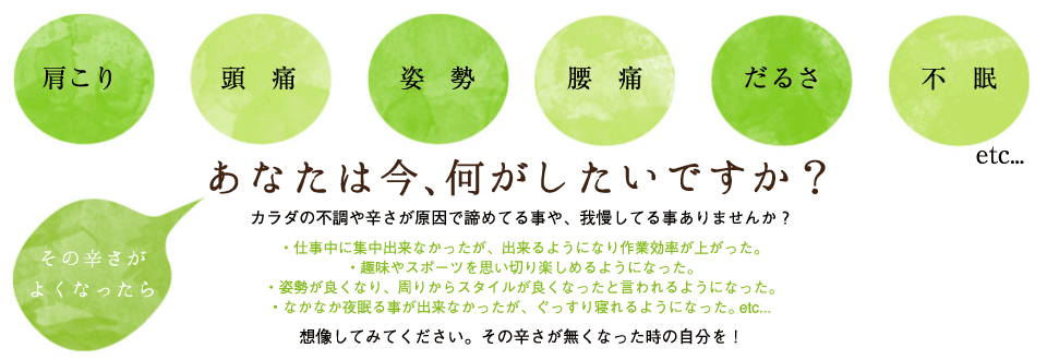 肩こり、頭痛、姿勢、腰痛、だるさ、不眠etc....
		その辛さがよくなったらあなたは今、何がしたいですか？